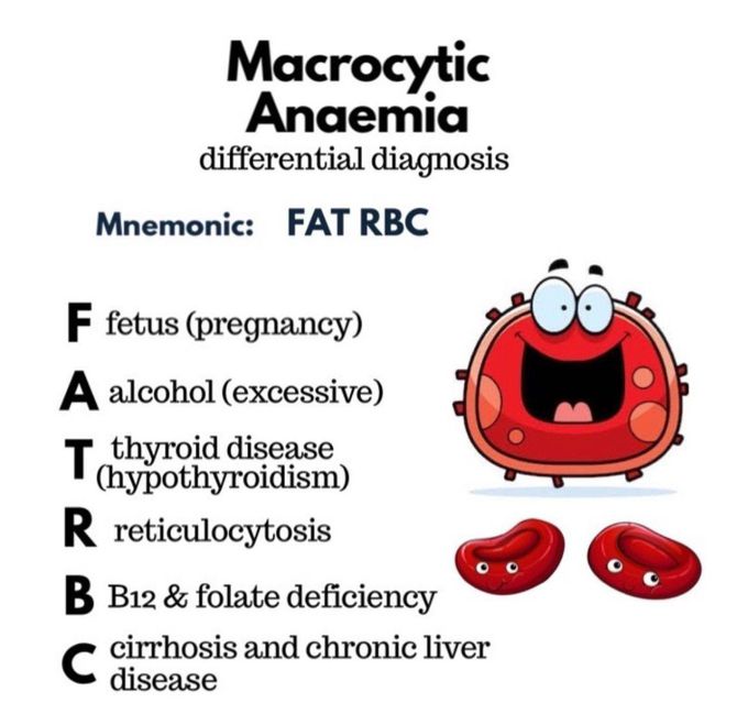 Macrocytic Anemia