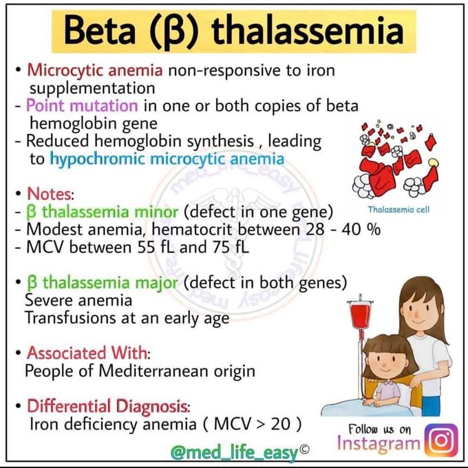 Beta B Thalassemia - MEDizzy