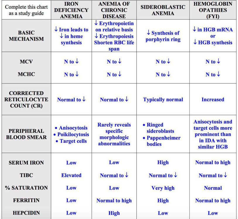 Anemia Medizzy 2267