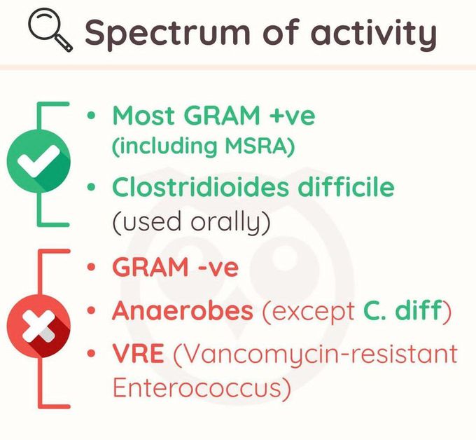 Vancomycin II