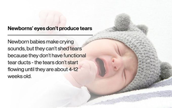 Newborns don't produce tears