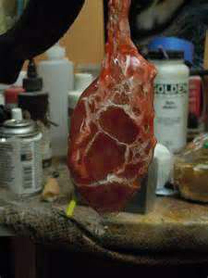 Identify this organ..! 