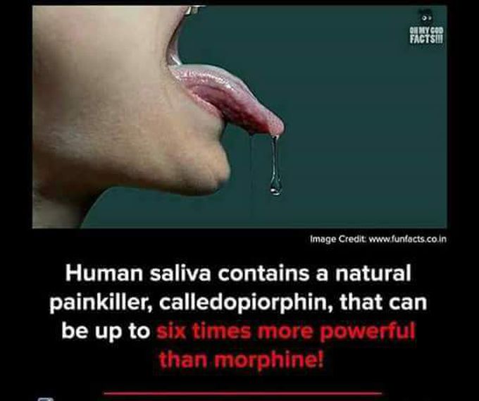 Wow so amazing!!!!!