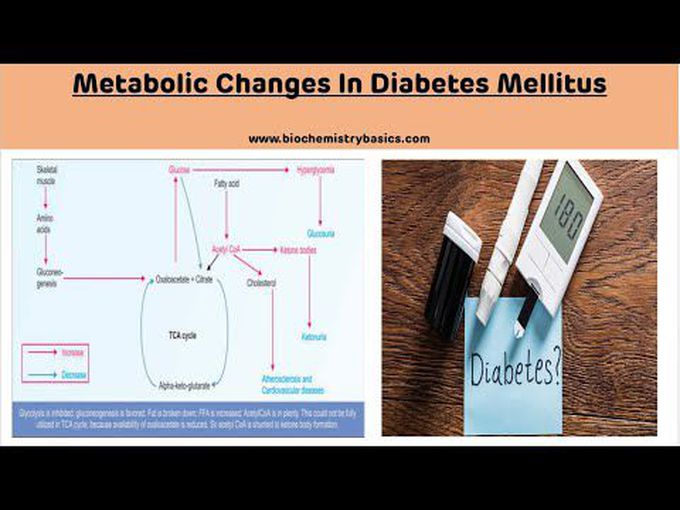 What are the metabolic changes seen in Diabetes Mellitus?
