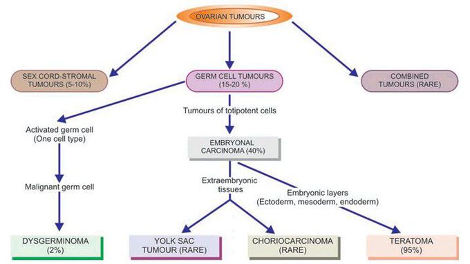 Ovarian tumors