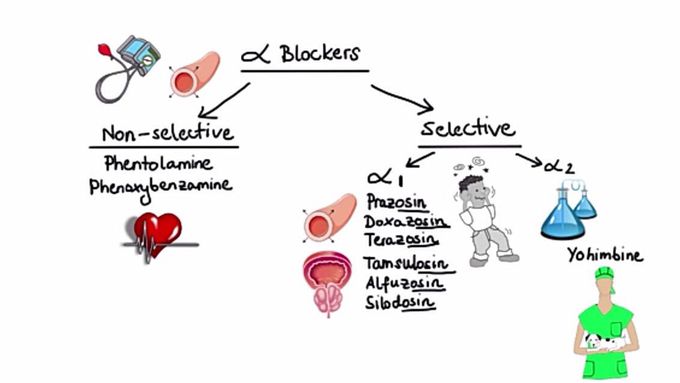 pharmacology