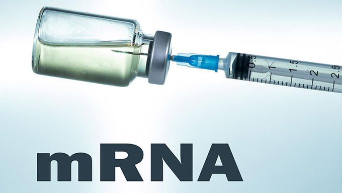 Explained | How can mRNA vaccines help fight cancer?