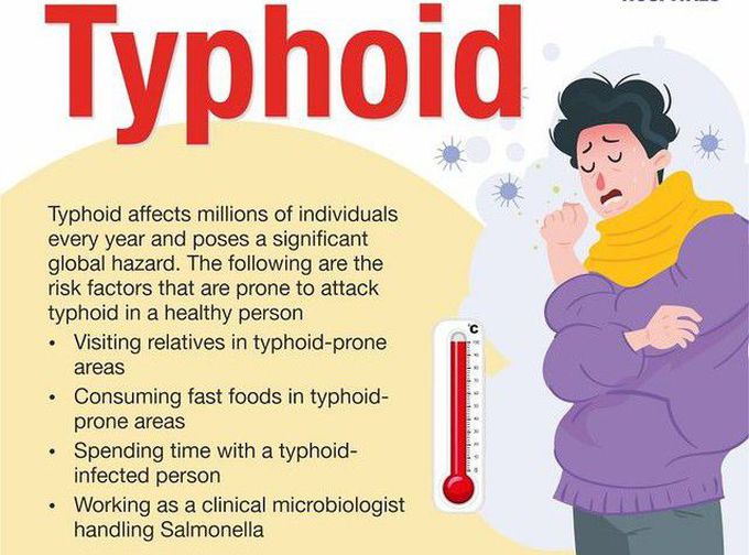 Cause of Typhoid