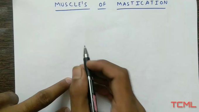 Muscle of mastication and these nerve supply