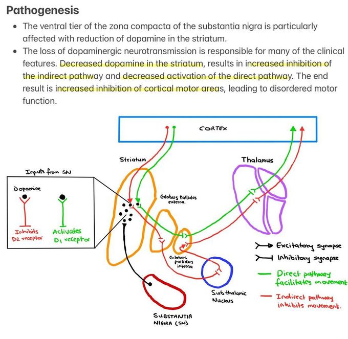 Parkinson's Disease II