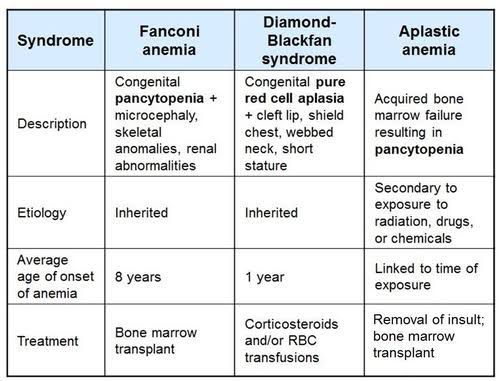 Fanconi Anemia Diamond Blackfan Syndrome And Aplastic Medizzy 2833