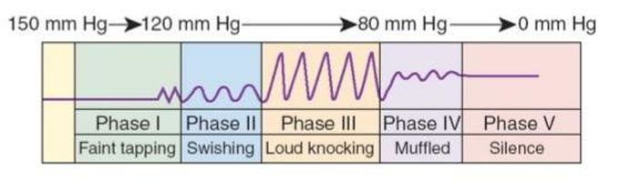 Korotkoff's sounds