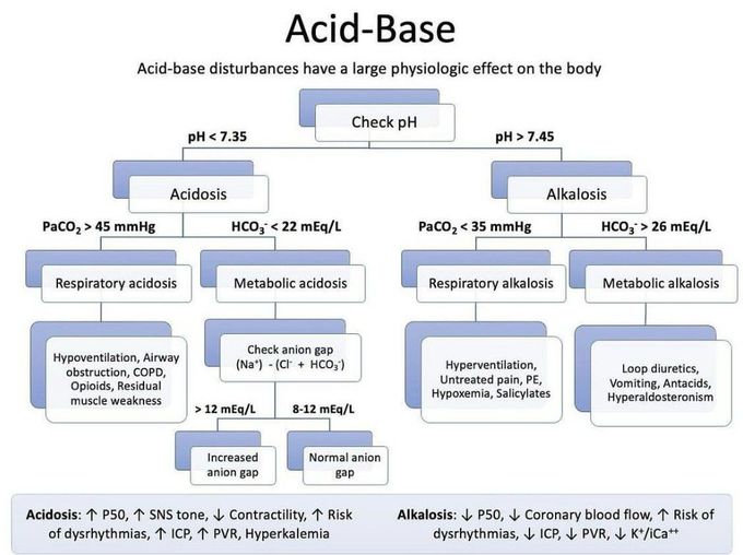 Acid Base Balance