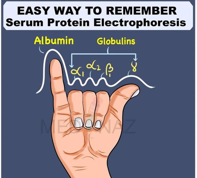 Serum Protein Electrophoresis