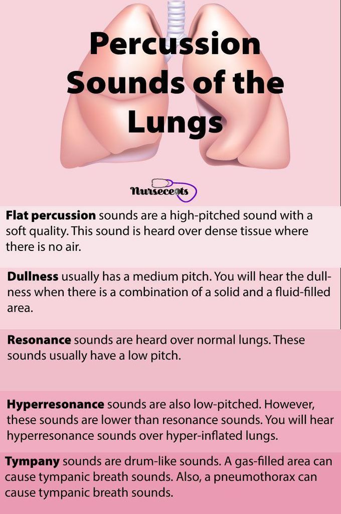 Percussion Sounds of the Lungs