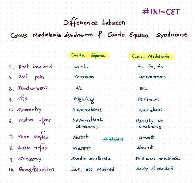 conus medullaris syndrome vs cauda equina syndrome