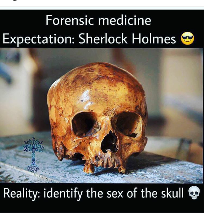 Fact