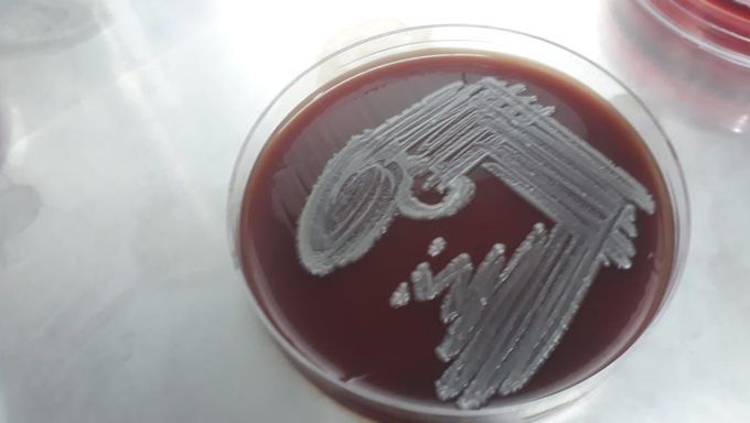 Microbiology