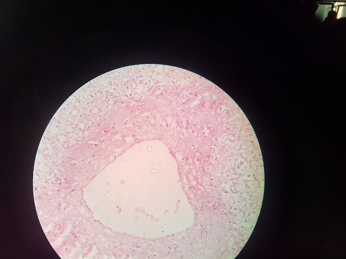 Identify