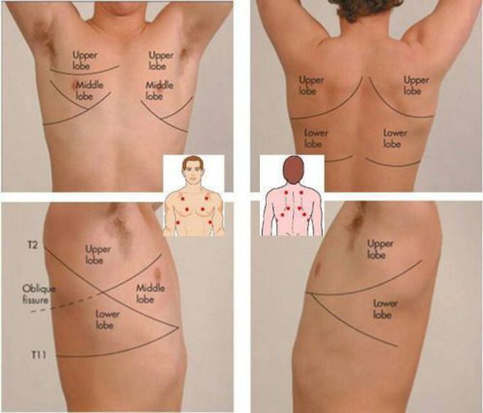Lungs examination