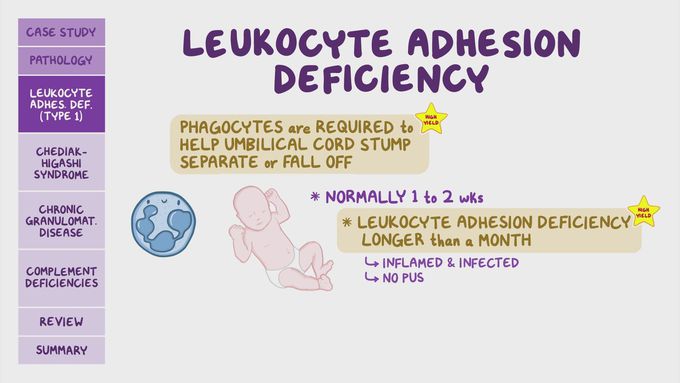 Leukocyte Adhesion Deficiency.
