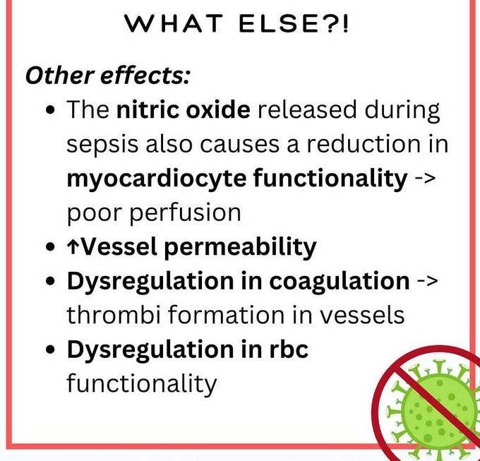 Sepsis IV