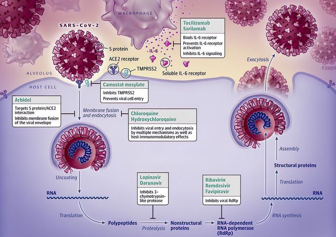 Drugs used for Corona virus