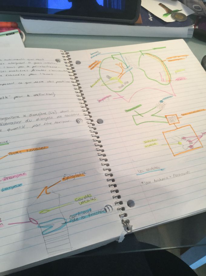 Study...