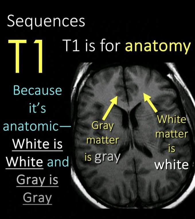 How to Read MRI I