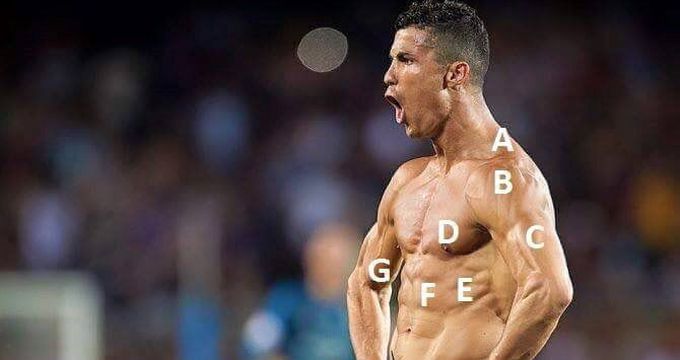 Can You Identify These Muscles..?
Thanks 🙏🏻 @Cristiano Ronaldo For This Free Quiz
