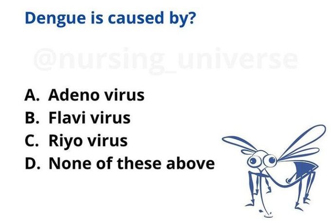 Which of the virus cause dengue?