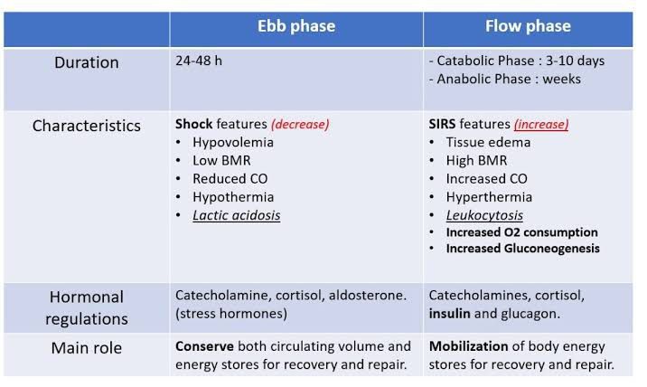 Ebb phase and Flow phase - MEDizzy