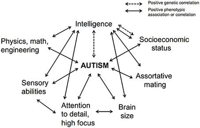 Autism and Intelligence