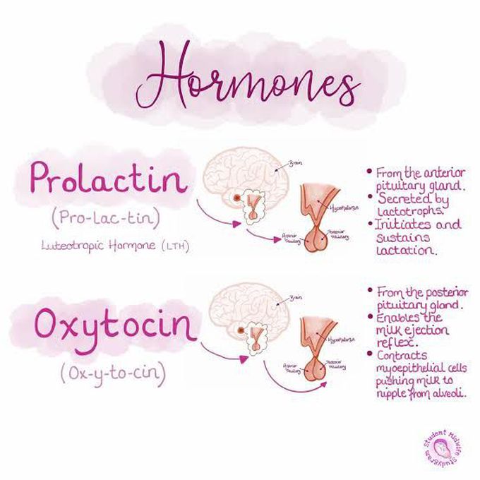Oxytocin and prolactin