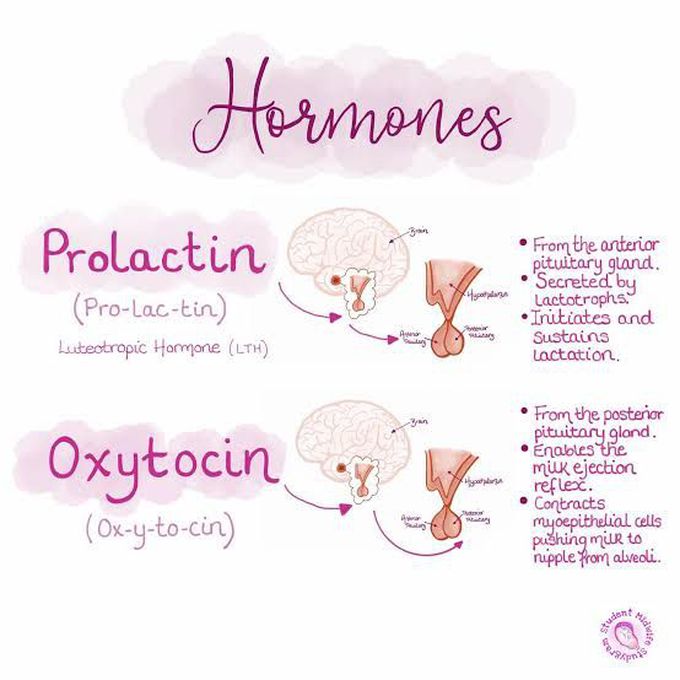 Oxytocin and prolactin