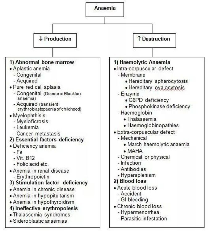 Anemia