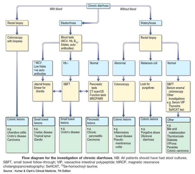 Algorithm of Chronic diarrhoea