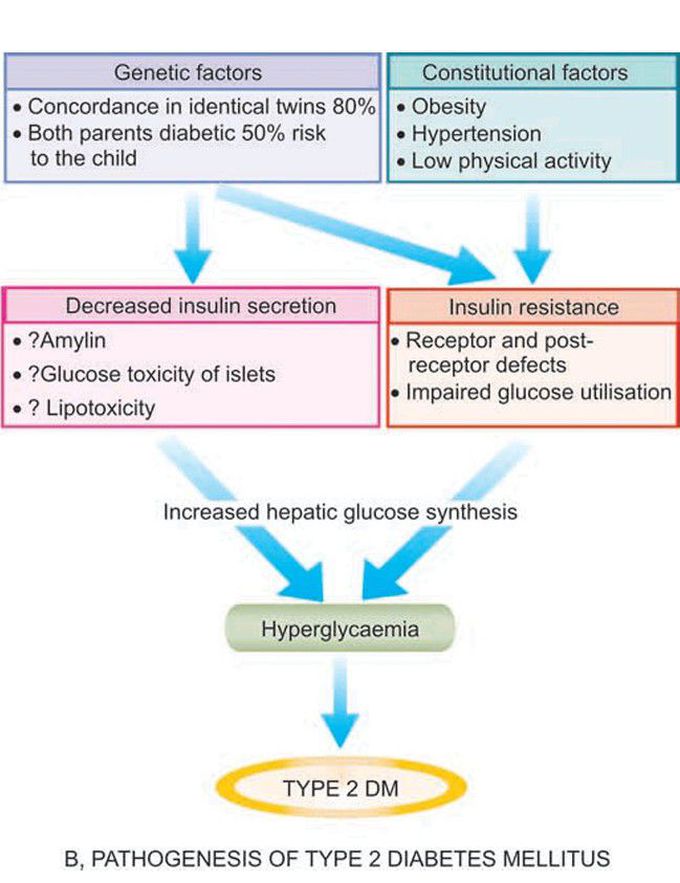 Type 2 diabetes mellitus