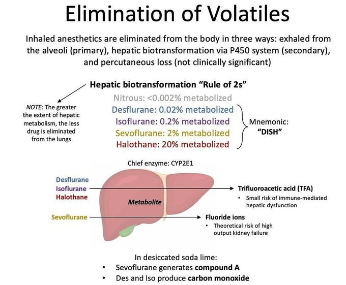 Elimination of Volatiles