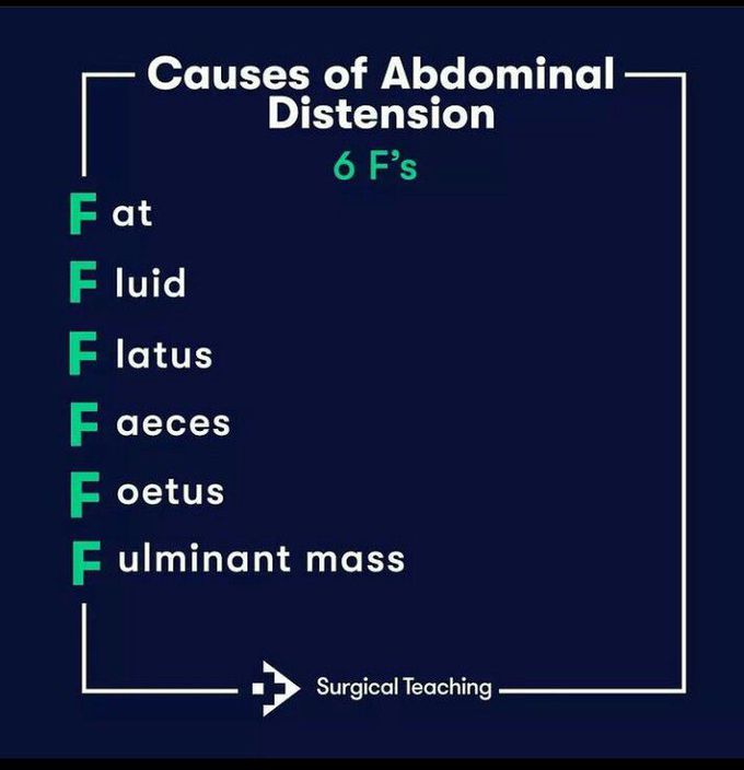 What Causes Abdominal Distension In Dogs