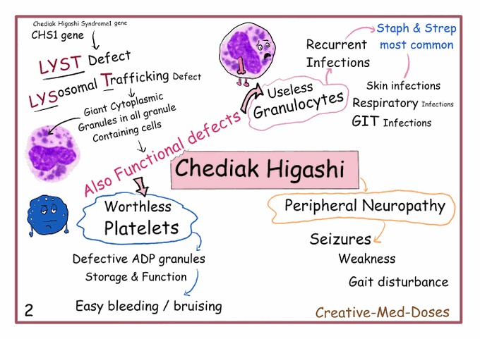 Chediak Higashi Syndrome