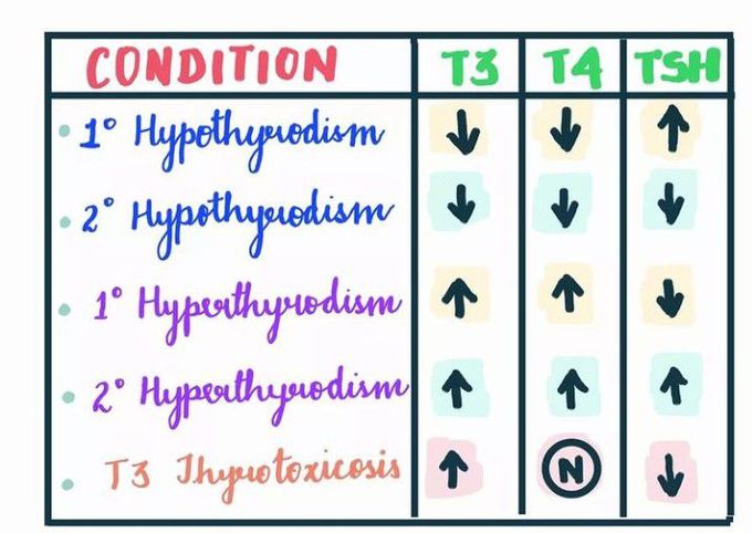 Types of thyroidism
