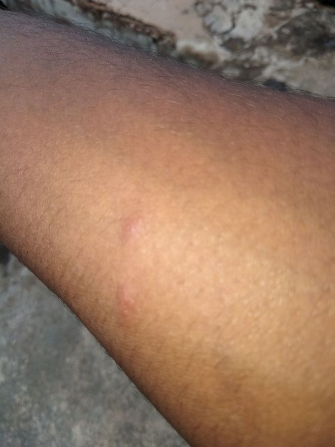 What is this??????