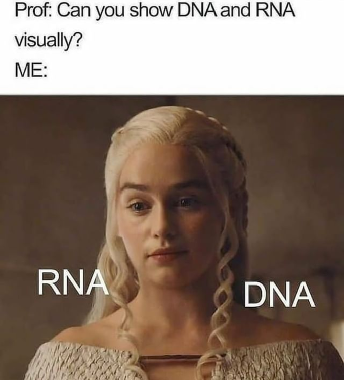 this-proves-everything-is-medicine-medizzy