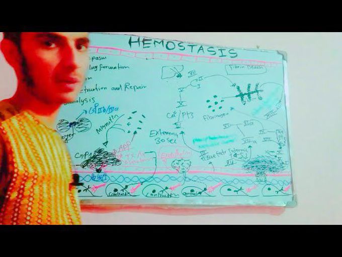 Hemostasis (Coagulation Cascade) : فیزیولوژی گایتون (هیموستازس)