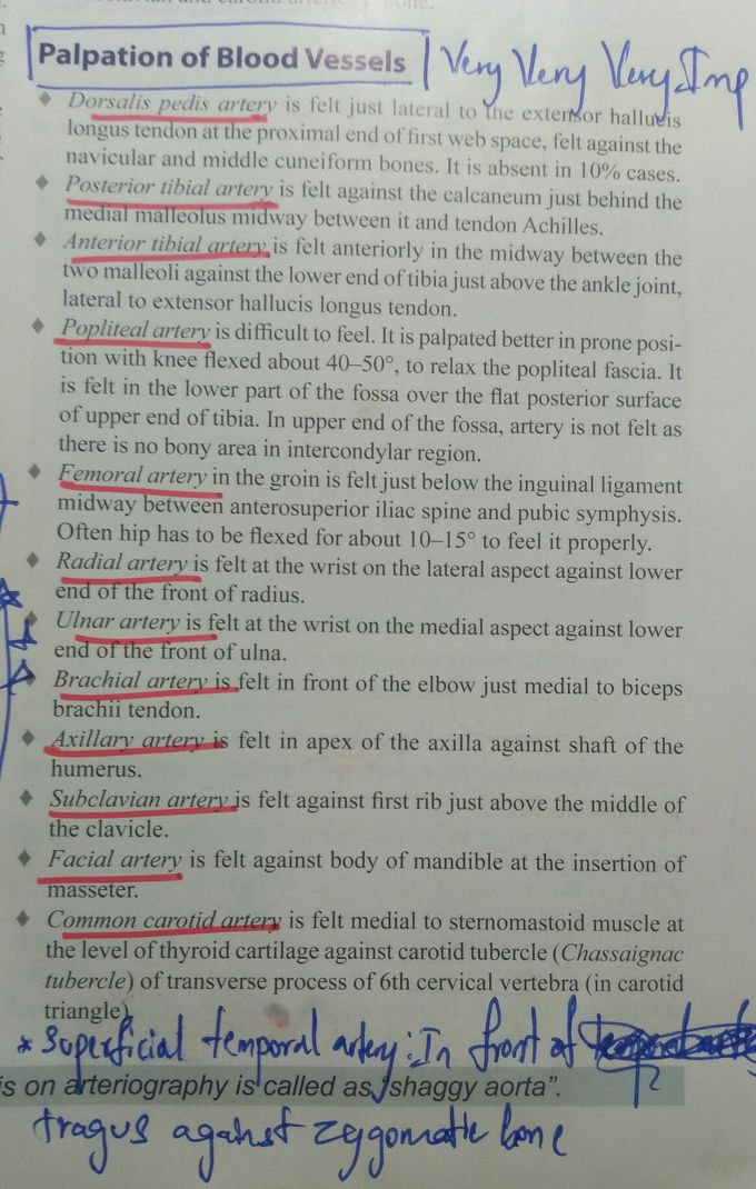 Peripheral arteries and where to find them...😂😁