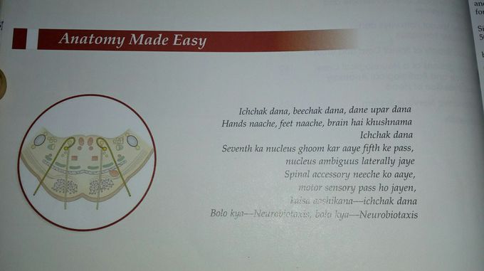 Second page of Anotomy book💙 .. come smile in my face