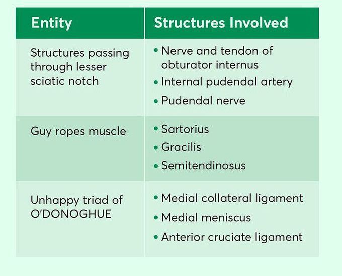 Anatomy Points