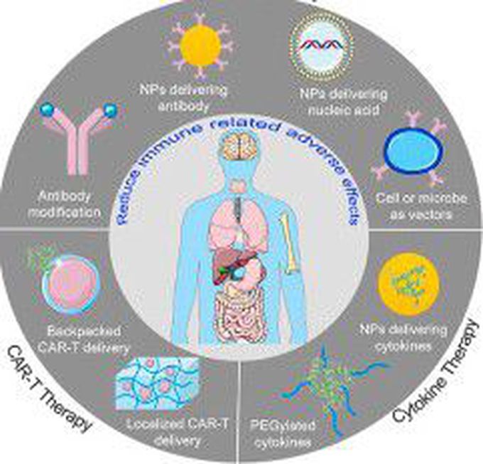Immunotherapy