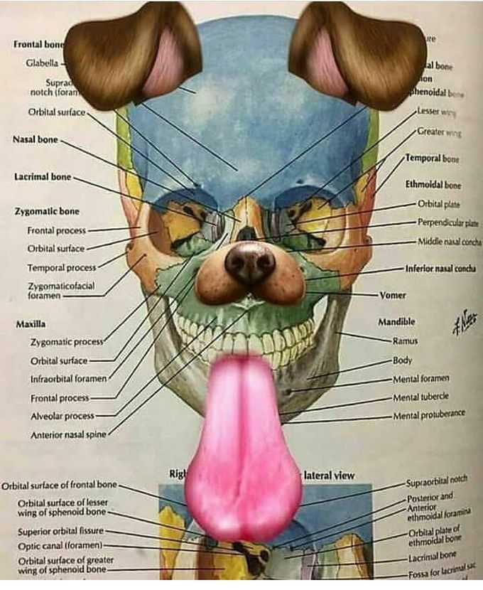 Perfectly taken